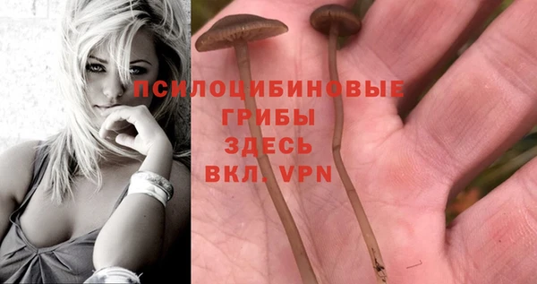 дживик Верея
