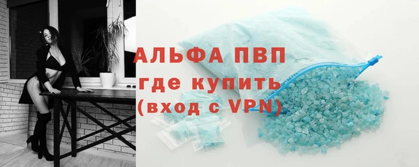 экстази Бородино