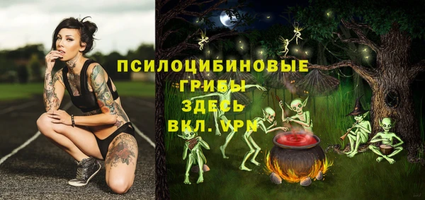 дмт Верхний Тагил