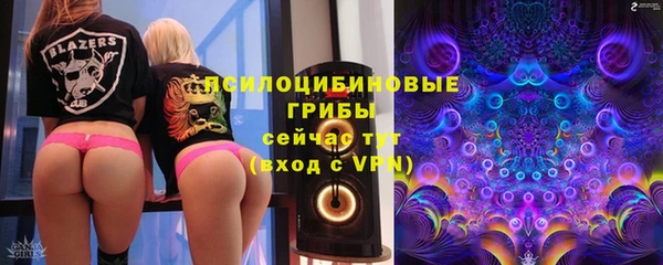 mdpv Бронницы