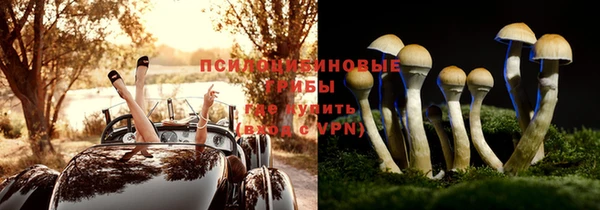 мдпв Бугульма