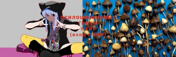 mdpv Бронницы